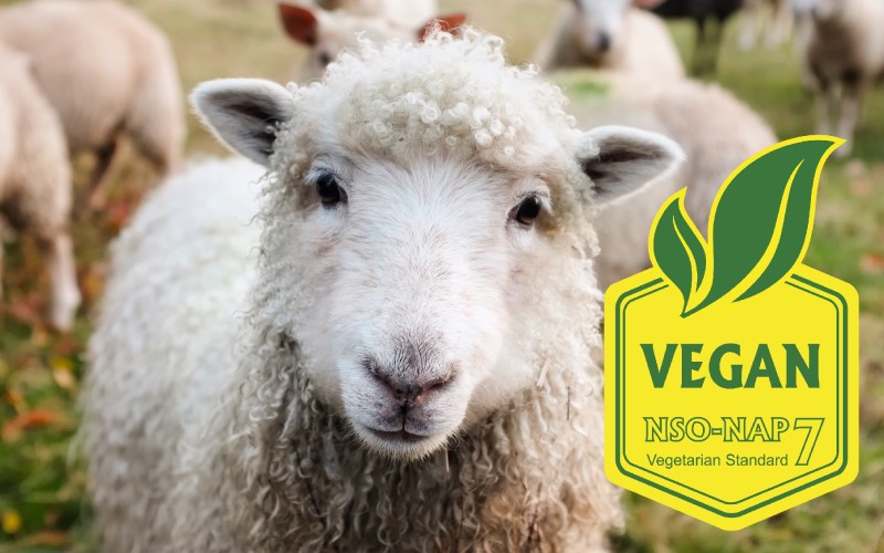 Vegan Belgesi ile Tanışın