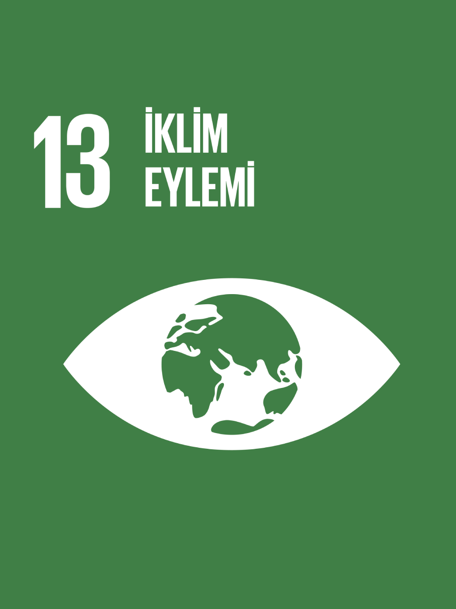 İklim Eylemi
